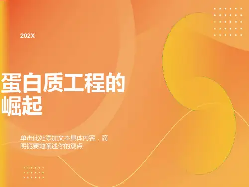 蛋白质工程的崛起：课件一29张