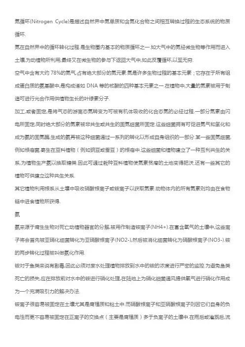 氮循环的主要过程