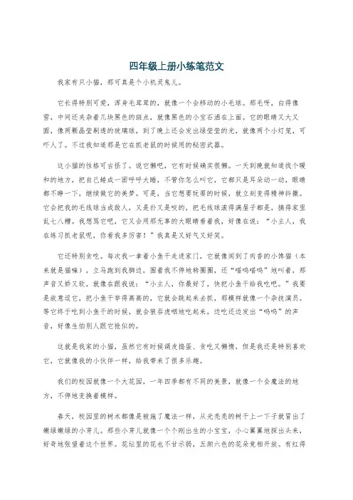 四年级上册小练笔范文