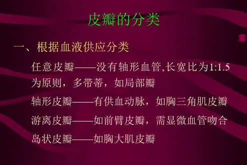 皮瓣讲课幻灯