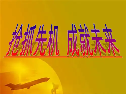 抢抓先机 成就未来(薛海蛟课件