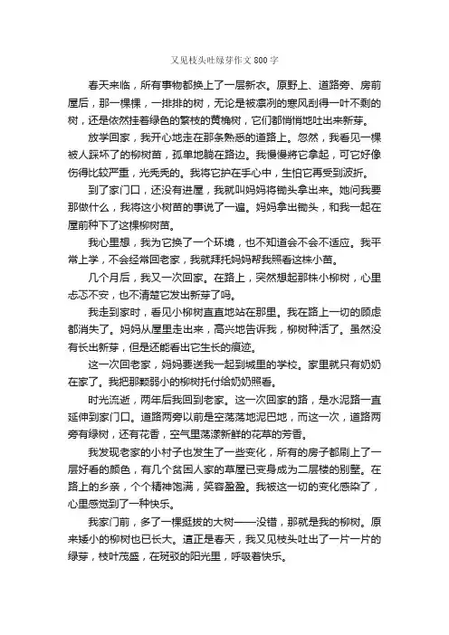 又见枝头吐绿芽作文800字_初二作文_