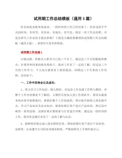 试用期工作总结模板(5篇)