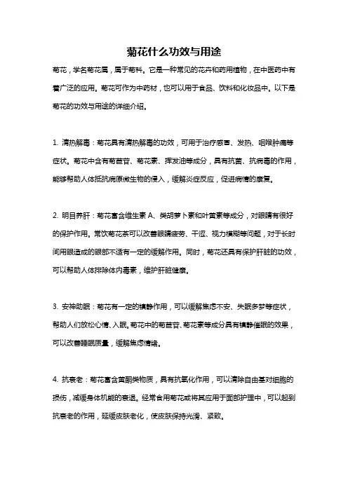 菊花什么功效与用途