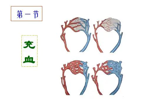 充血和淤血 ppt课件