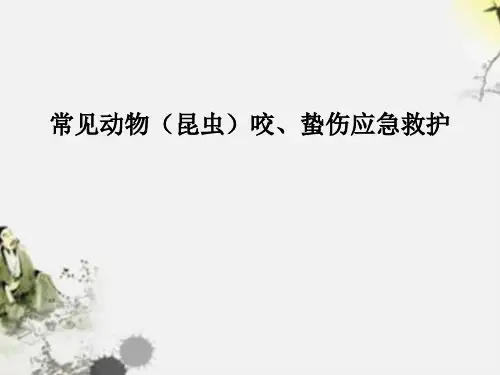 常见动物(昆虫)咬、蛰伤应急救护 PPT