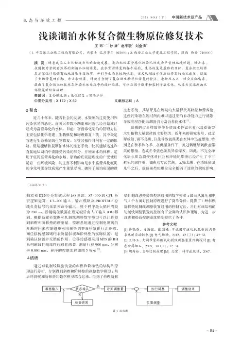 浅谈湖泊水体复合微生物原位修复技术