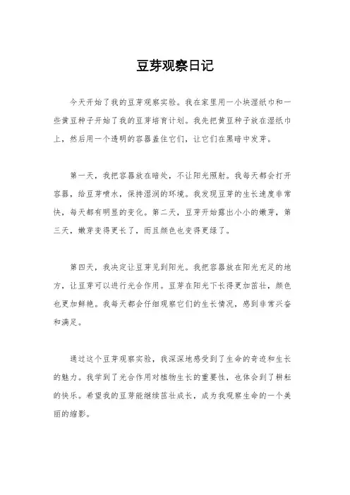 豆芽观察日记