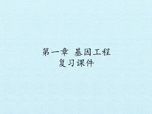 苏教版高中生物选修3-现代生物科技专题：第一章 基因工程 复习课件