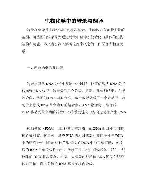 生物化学中的转录与翻译