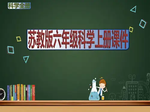 (苏教版)六年级科学上册《全册课件》ppt