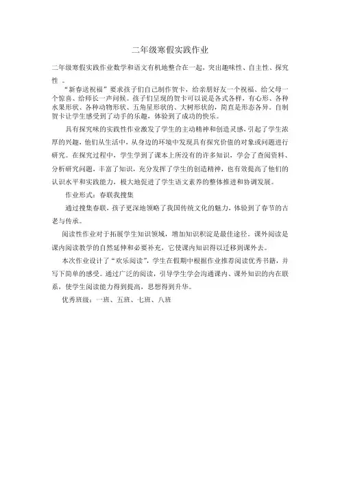 二年级寒假实践作业