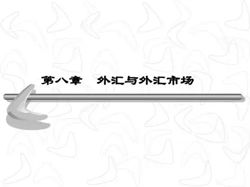 国经第八章外汇与外汇市场(2012)