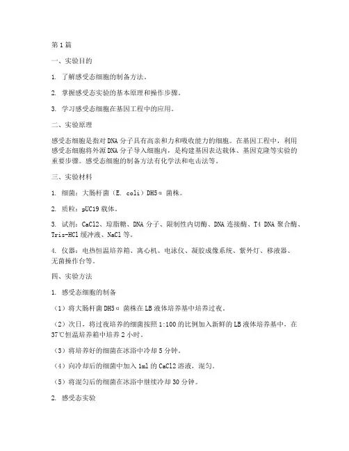 感受态实验报告(3篇)