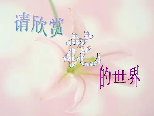 济南版八上第一节《花的结构和类型》课件2