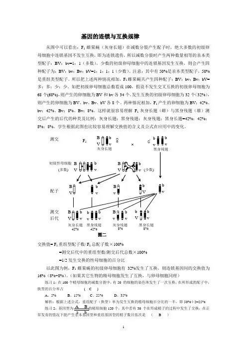 基因的连锁与互换规律