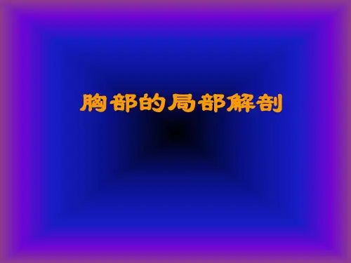 局部解剖学：胸部的局部解剖
