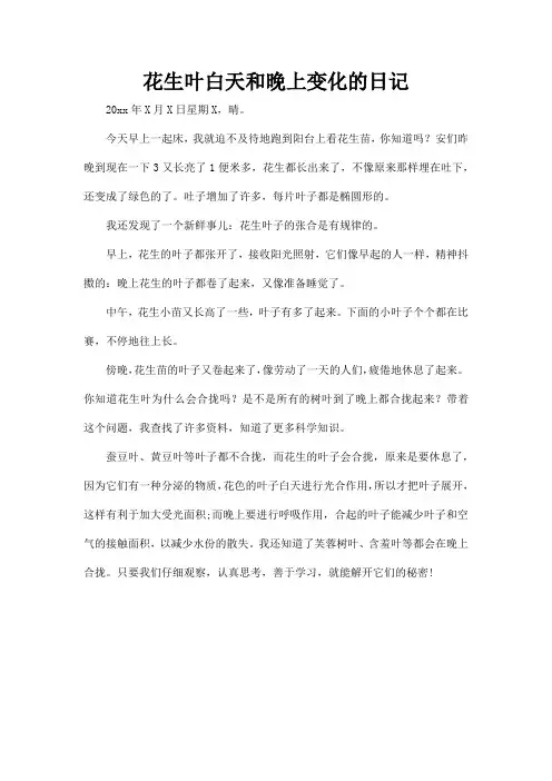 花生叶白天和晚上变化的日记