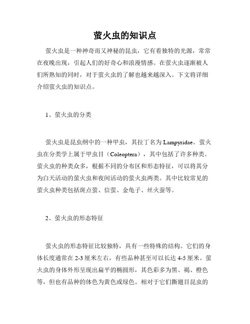 萤火虫的知识点