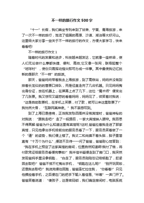 不一样的旅行作文500字