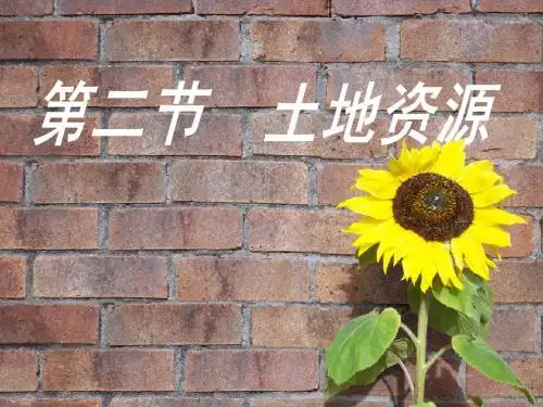 八年级上册地理 第三章第二节(土地资源)