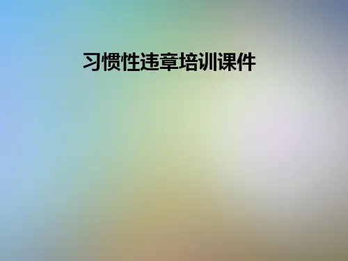 习惯性违章培训课件