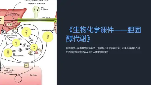 《生物化学课件-胆固醇代谢》