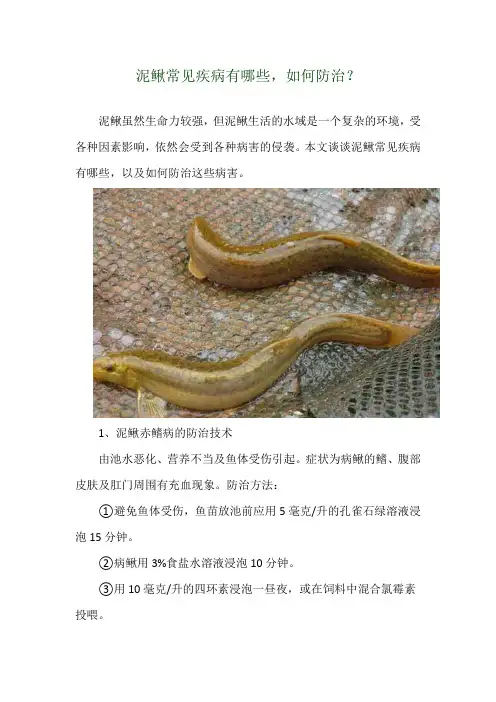 泥鳅常见疾病有哪些,如何防治？