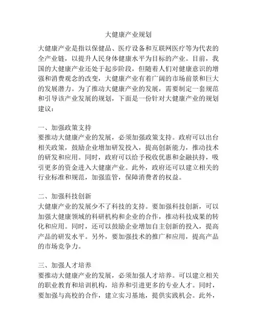 大健康产业规划