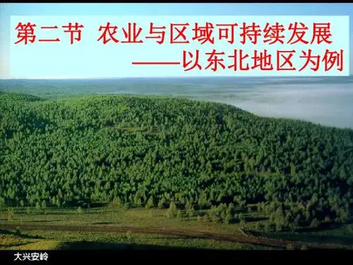 农业与区域可持续发展——以东北地区为例ppt