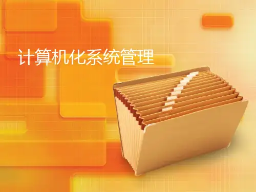 计算机化系统管理