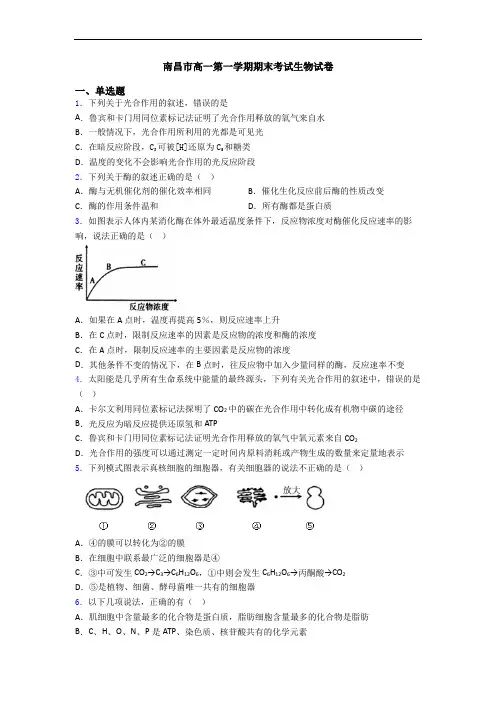 南昌市高一第一学期期末考试生物试卷