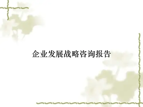 企业发展战略咨询报告