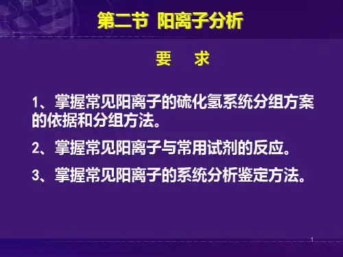 阳离子分析方法PPT课件