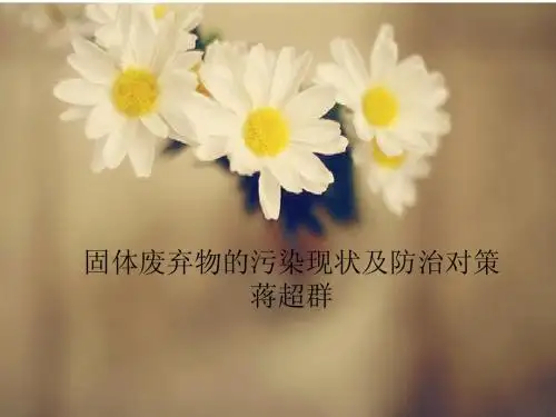 固体废弃物的污染