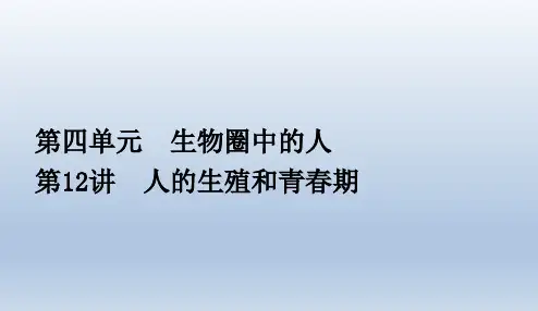 中考生物复习(襄阳)第12讲人的生殖和青春期课件