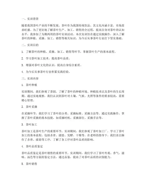 认识茶叶实训报告