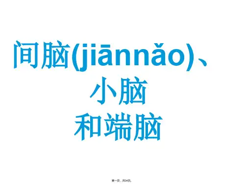 四讲：间脑、小脑和端脑