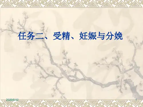 任务三、受精 妊娠与分娩-2