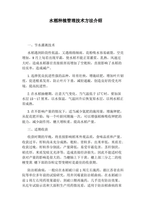 水稻种植管理技术方法介绍
