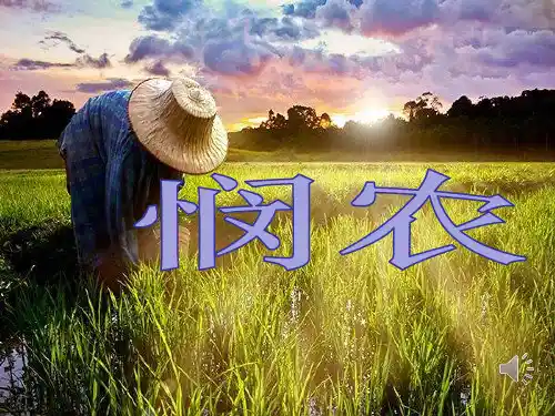 (公开课课件)一年级上册语文《悯农》 (共18张PPT)