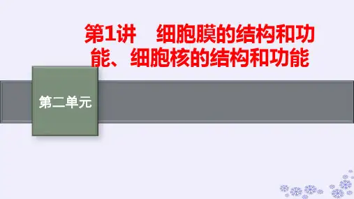 新高考新教材生物一轮总复习第2单元第1讲细胞膜的结构和功能细胞核的结构和功能pptx课件新人教版