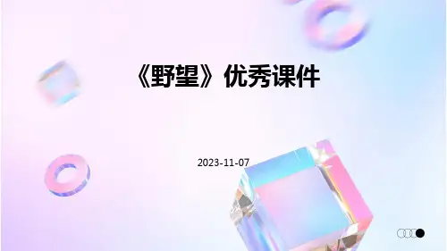 《野望》优秀课件