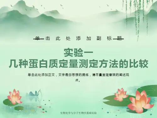 实验蛋白质含量测定