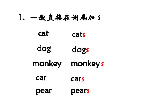 小学英语名词复数ppt课件