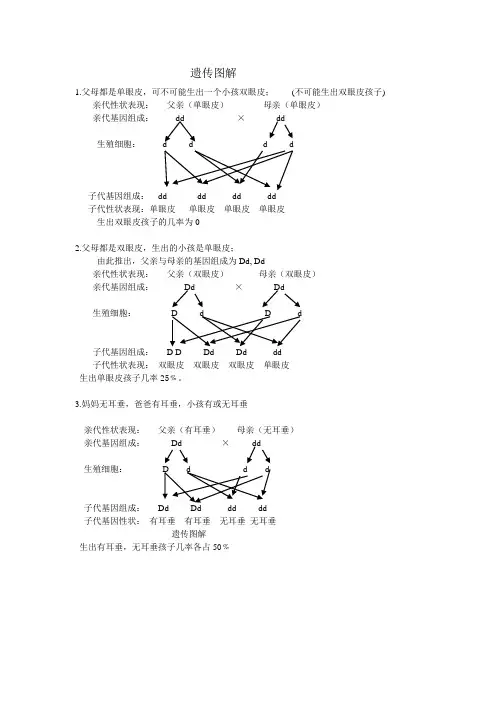 遗传图解