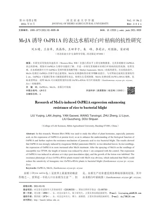 MeJA诱导OsPR1A的表达水稻对白叶枯病的抗性研究