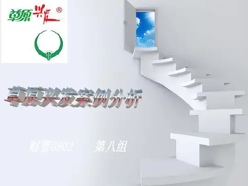 草原兴发案例分析精品文档26页