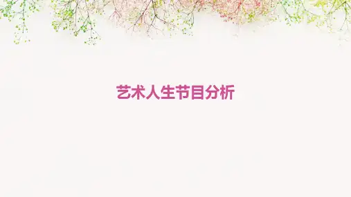 《艺术人生》节目分析