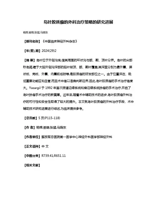 岛叶胶质瘤的外科治疗策略的研究进展